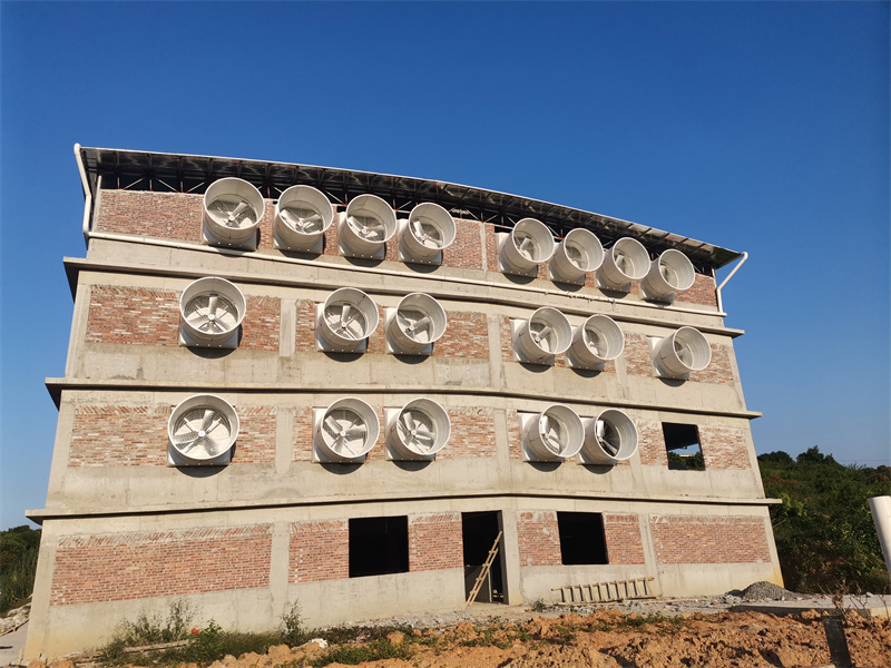 Zhaoqing pig farm environmental space ventilation and cooling case